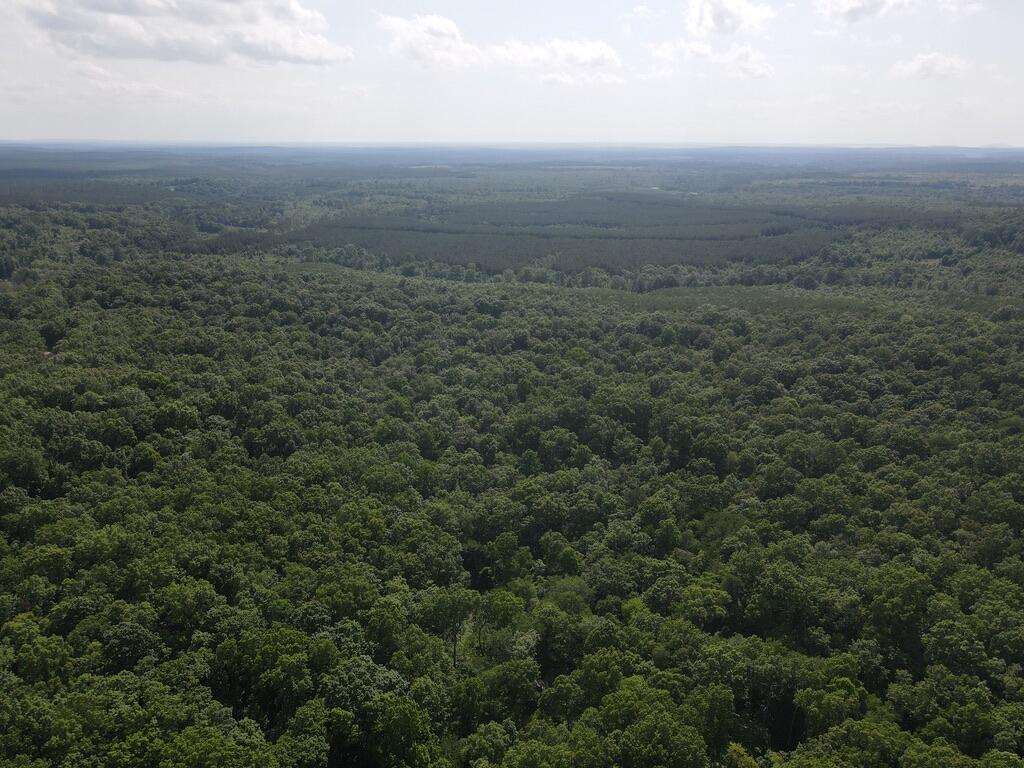 76.50 Black Mountain Road Dunlap, TN 37327 - Photo 25 of 36 1BBBF1BC-2E23-4D32-9CF9-8095CFFC6713_1_1