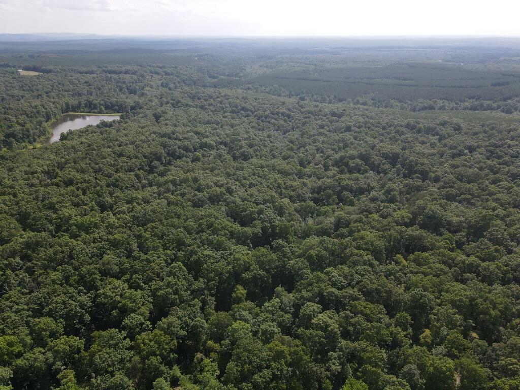 76.50 Black Mountain Road Dunlap, TN 37327 - Photo 26 of 36 481224DB-604A-4E1B-8E37-AB56433F0453_1_1
