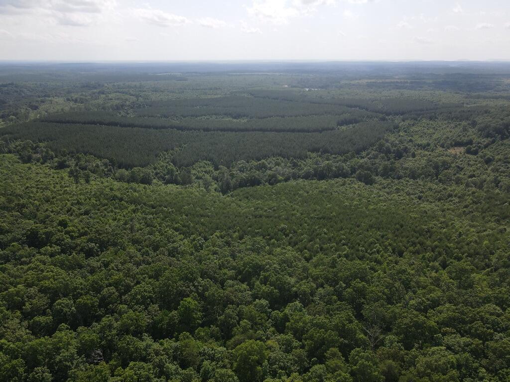 76.50 Black Mountain Road Dunlap, TN 37327 - Photo 27 of 36 DB2E84CB-523A-4B47-9C59-D3879C993669_1_1
