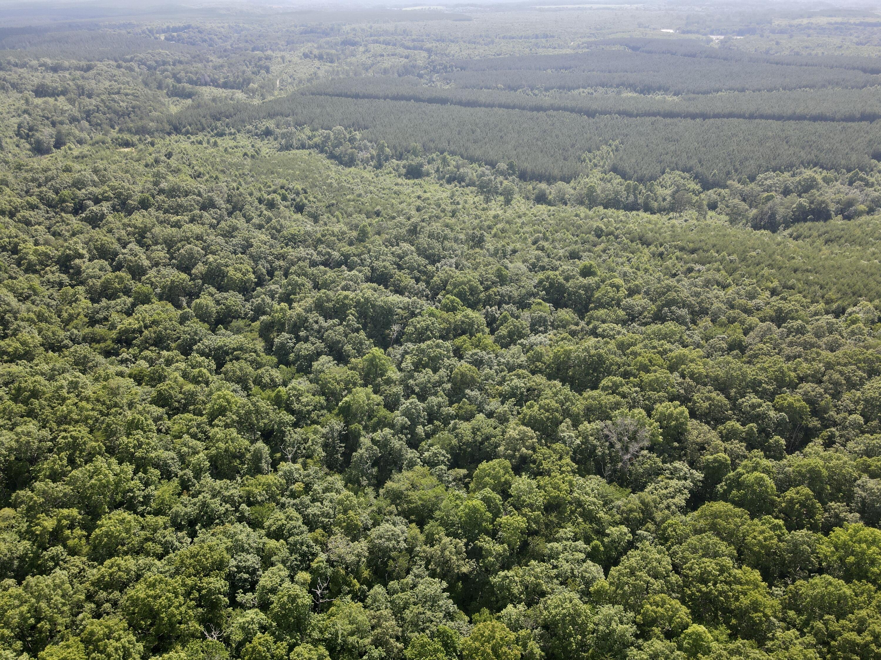 76.50 Black Mountain Road Dunlap, TN 37327 - Photo 28 of 36 80FE9974-A0CF-456B-A718-31F6F5BE2CE6_1_2