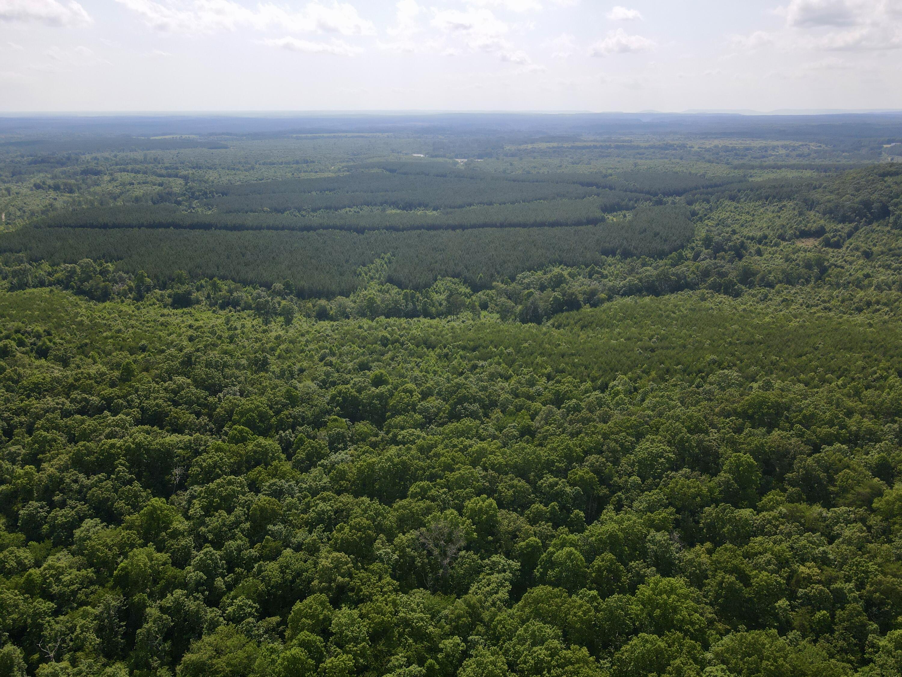 76.50 Black Mountain Road Dunlap, TN 37327 - Photo 29 of 36 2B40D5FB-0E8E-4C3A-B3DD-77E49F8CD9CD_1_2