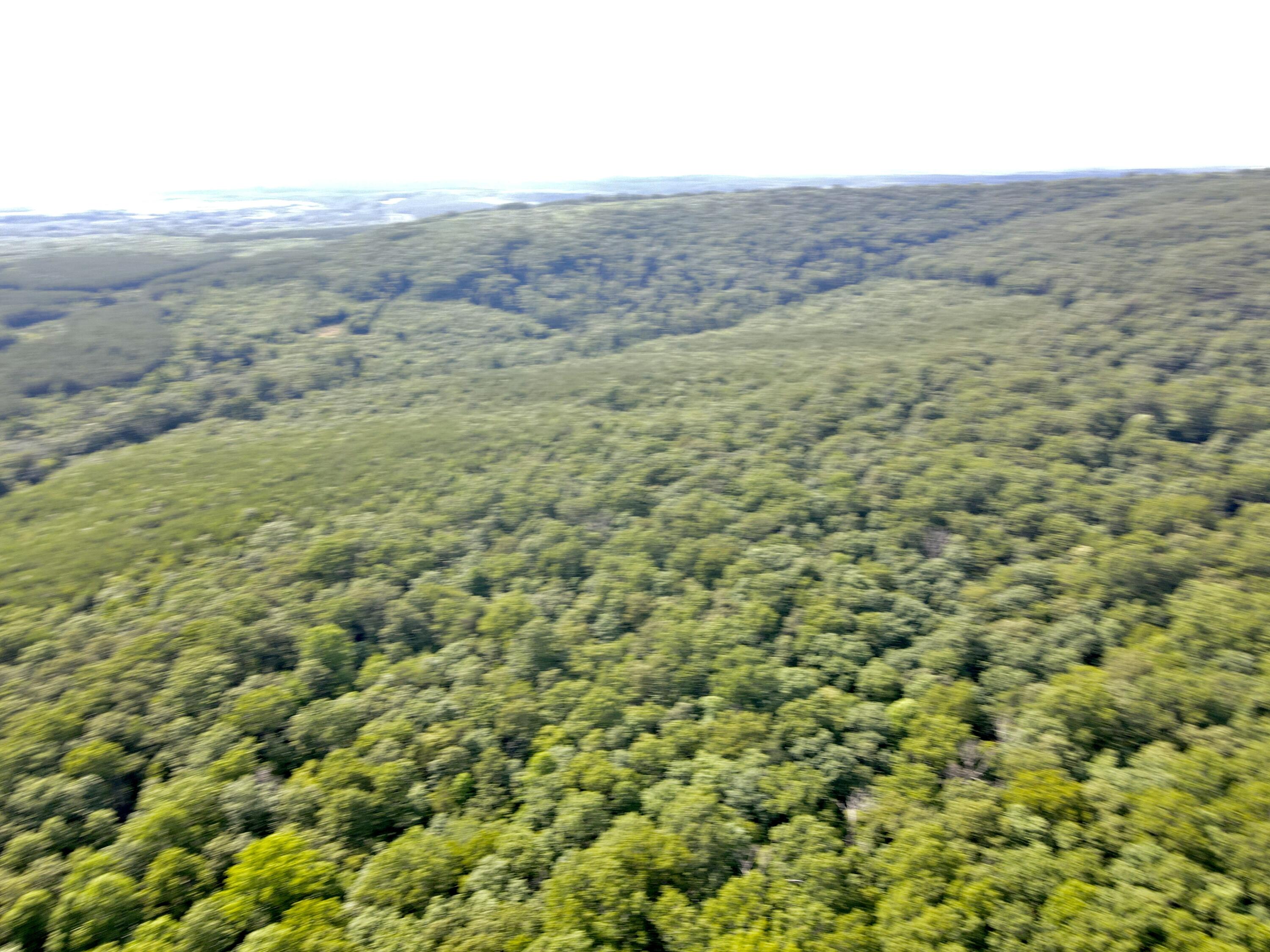76.50 Black Mountain Road Dunlap, TN 37327 - Photo 31 of 36 748E13FE-0383-4595-BB48-26D9151C5531_1_2