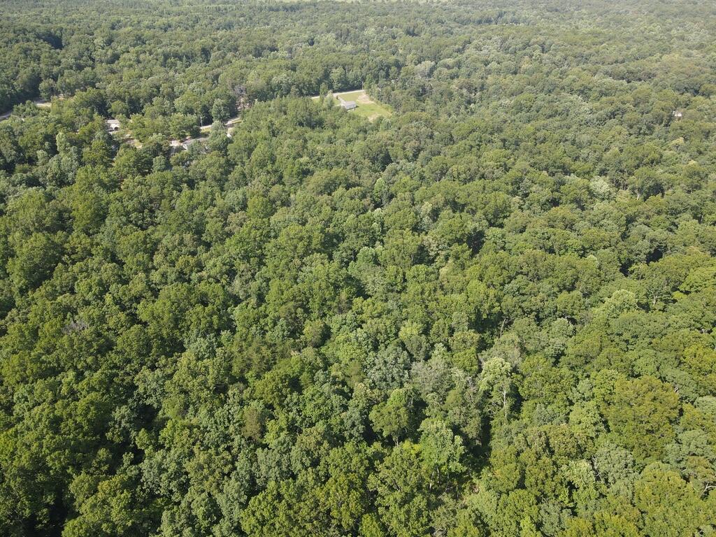 76.50 Black Mountain Road Dunlap, TN 37327 - Photo 32 of 36 8FE7B21B-684F-402D-87A2-A1B39431A0FD_1_1