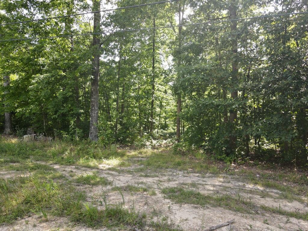 76.50 Black Mountain Road Dunlap, TN 37327 - Photo 33 of 36 A496931A-E781-4CC0-BD1F-0FBA84E0481F_1_1