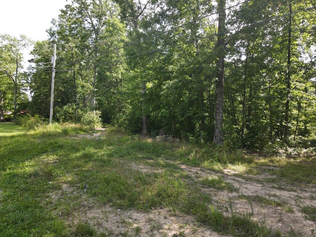 76.50 Black Mountain Road Dunlap, TN 37327 - Photo 34 of 36 15D4A7D5-F13D-44F4-ADA9-45C34B07C384_1_1