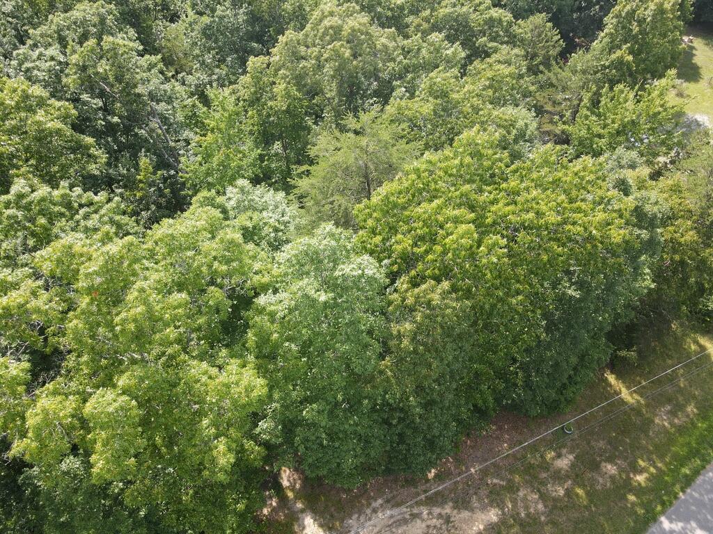 76.50 Black Mountain Road Dunlap, TN 37327 - Photo 8 of 36 E3D82B5F-43D0-48A4-8FEA-C3522C403178_1_1