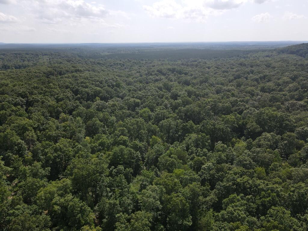 76.50 Black Mountain Road Dunlap, TN 37327 - Photo 10 of 36 95DEA8B9-9EC1-43B0-BE4B-A63E743C5E45_1_1