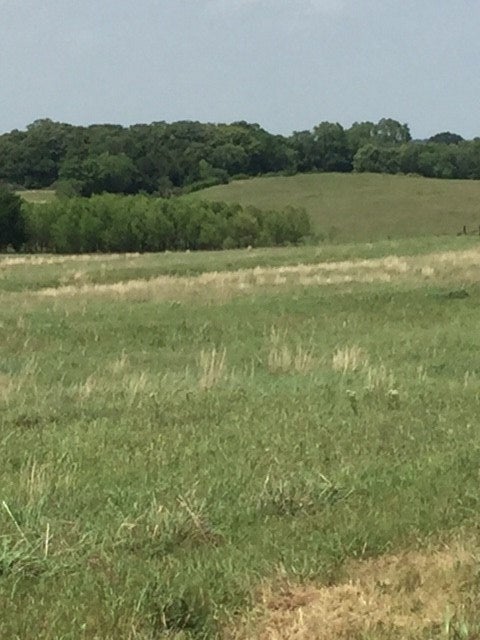 33 Hackelman Road Coyle, OK 73027 - Photo 3 of 12 Gallery Image 3
