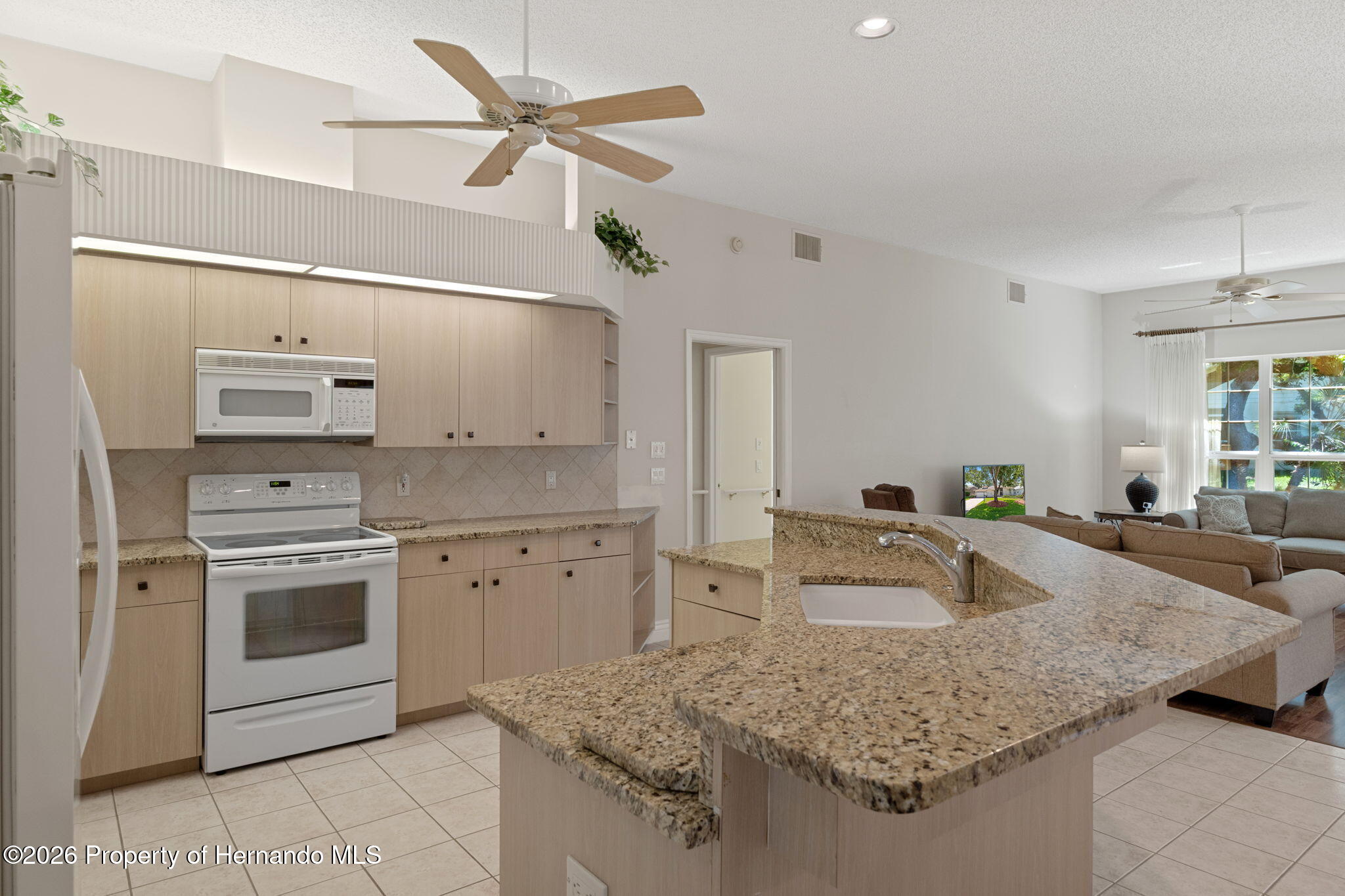 2086 Sparkling Waters Way Spring Hill, FL 34606 - Photo 19 of 83