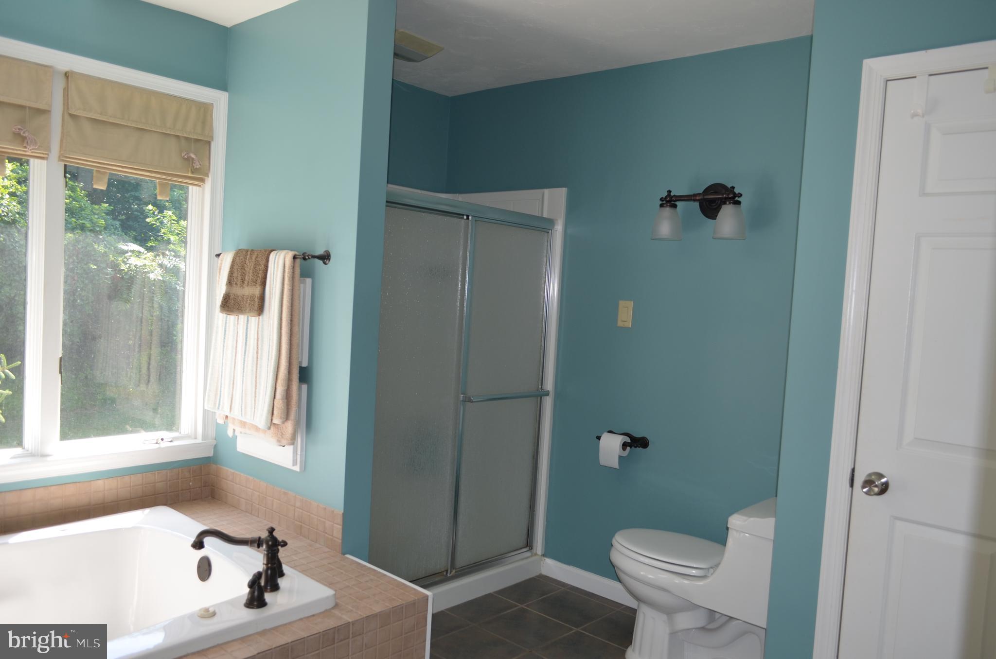 435 Big Spring Road New Cumberland, PA 17070 - Photo 38 of 79 Main bath