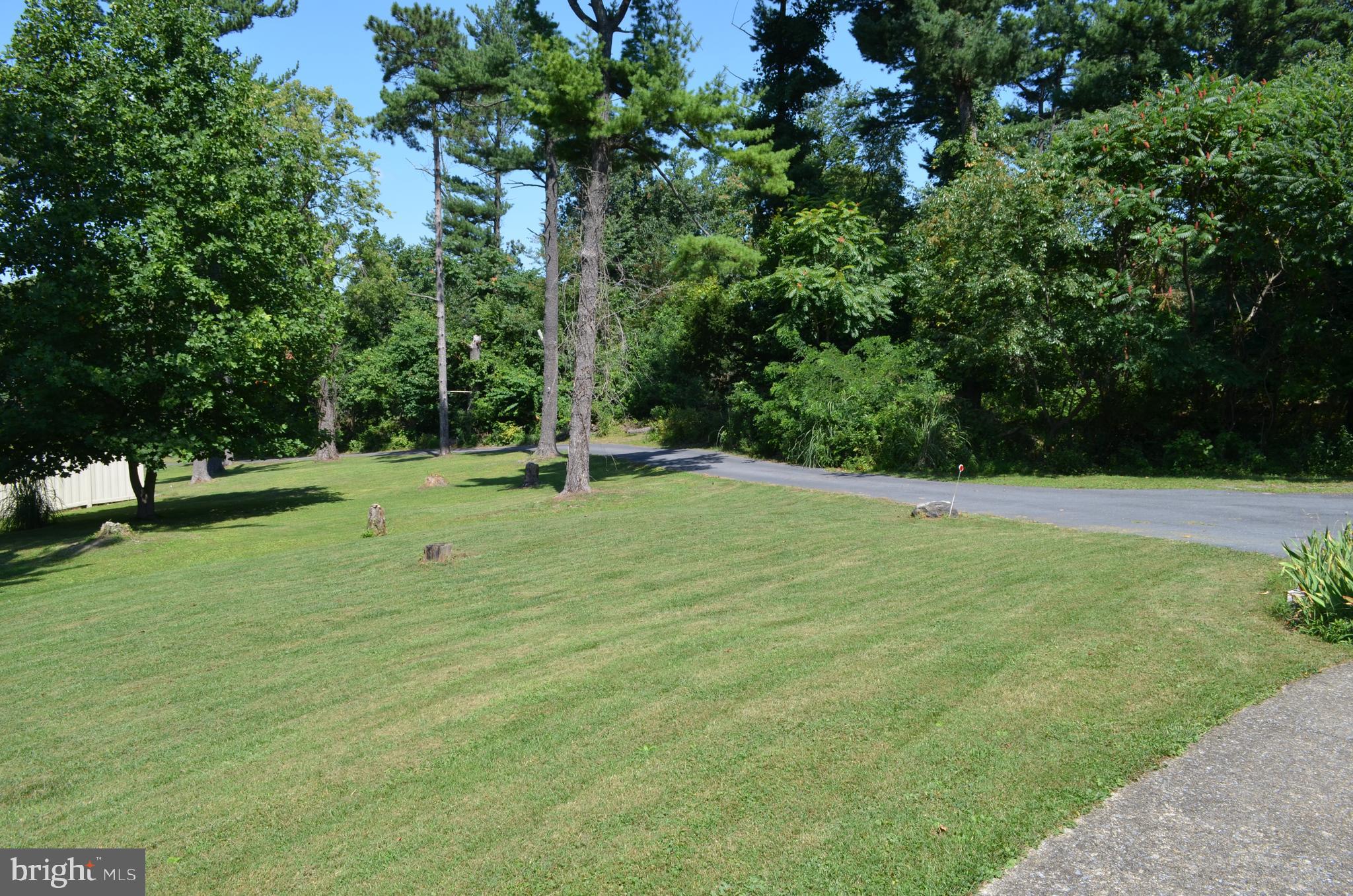 435 Big Spring Road New Cumberland, PA 17070 - Photo 60 of 79 View from front yard