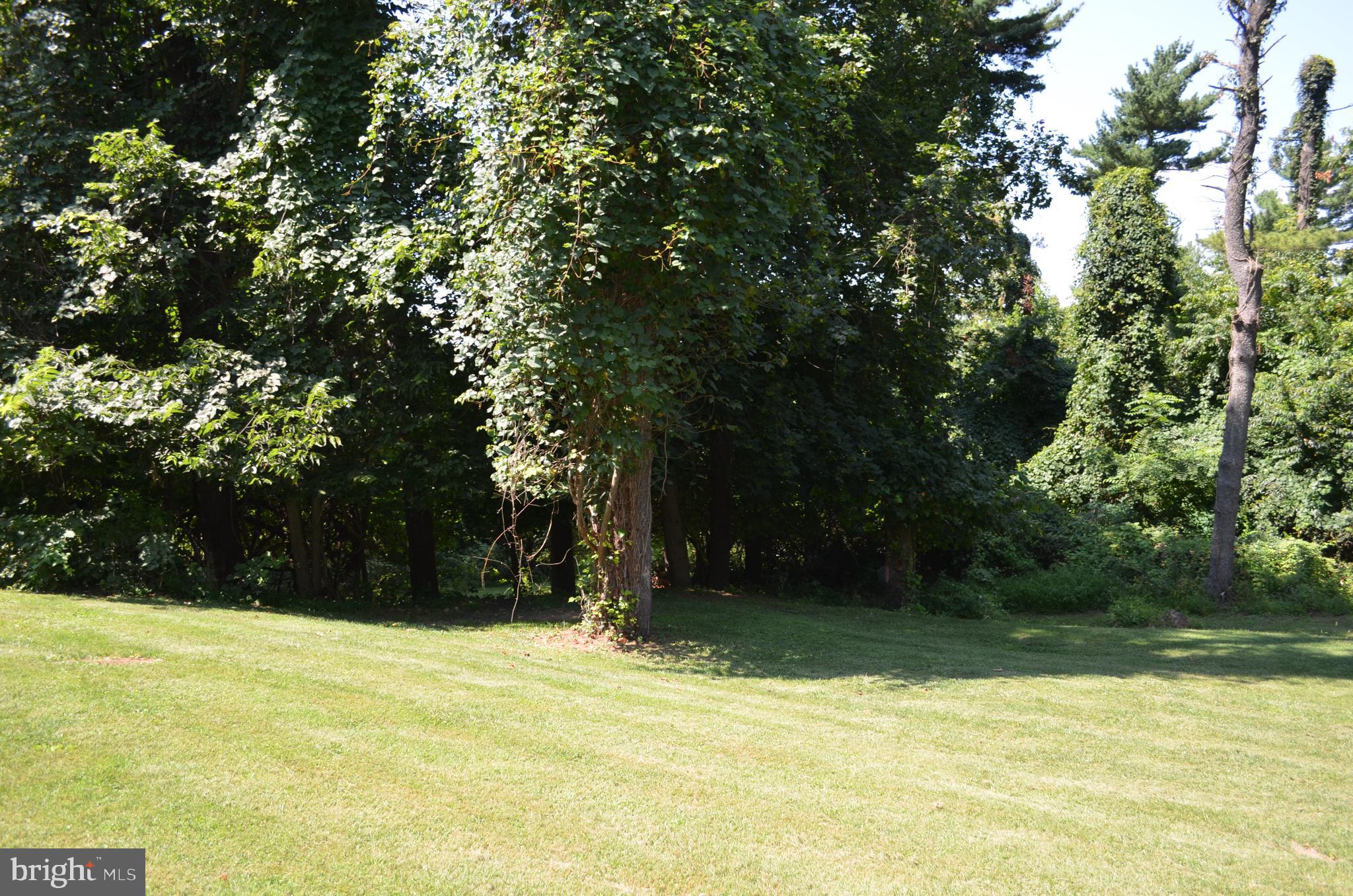 435 Big Spring Road New Cumberland, PA 17070 - Photo 61 of 79 View from front yard