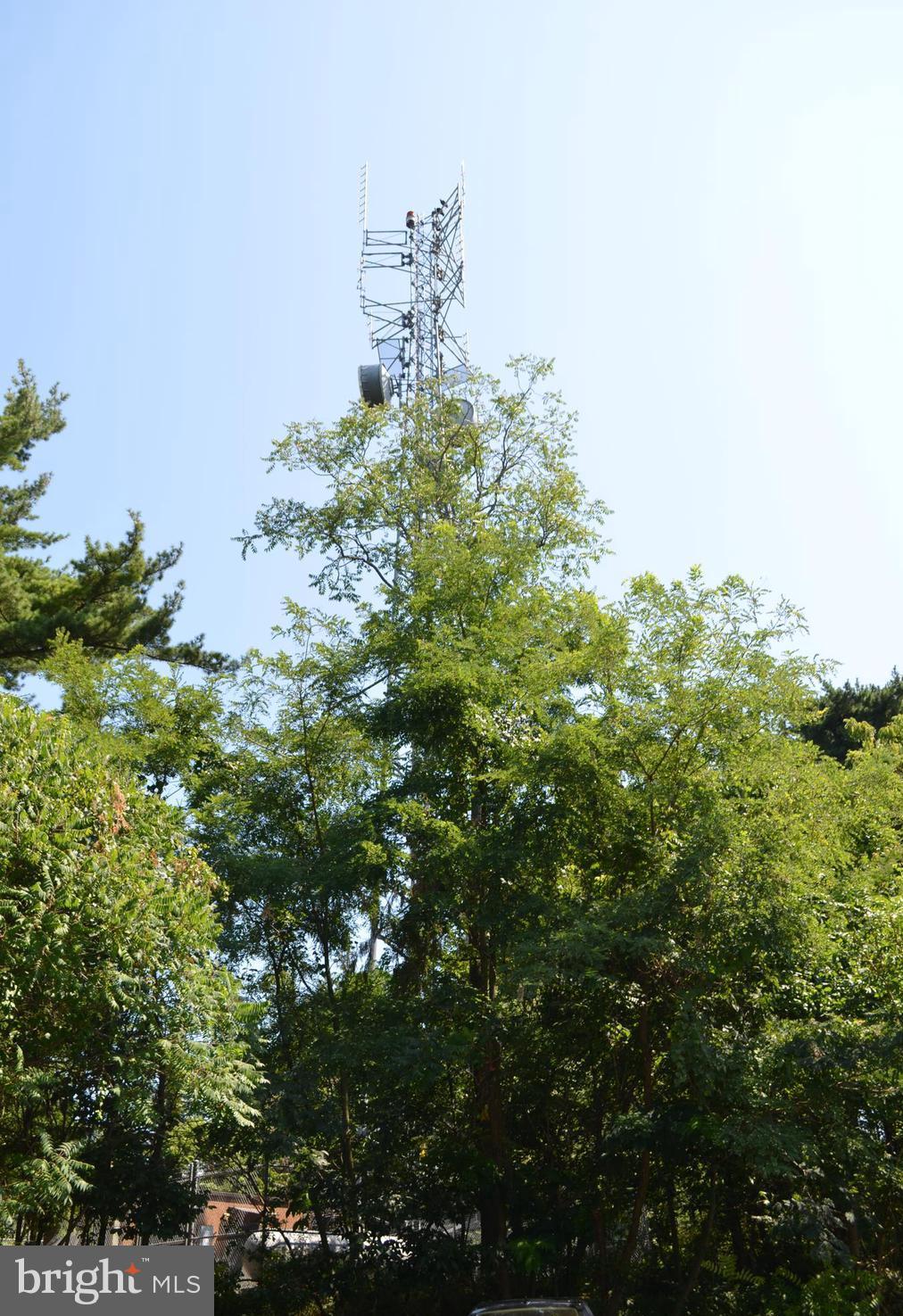 435 Big Spring Road New Cumberland, PA 17070 - Photo 62 of 79 Communications tower at edge of property