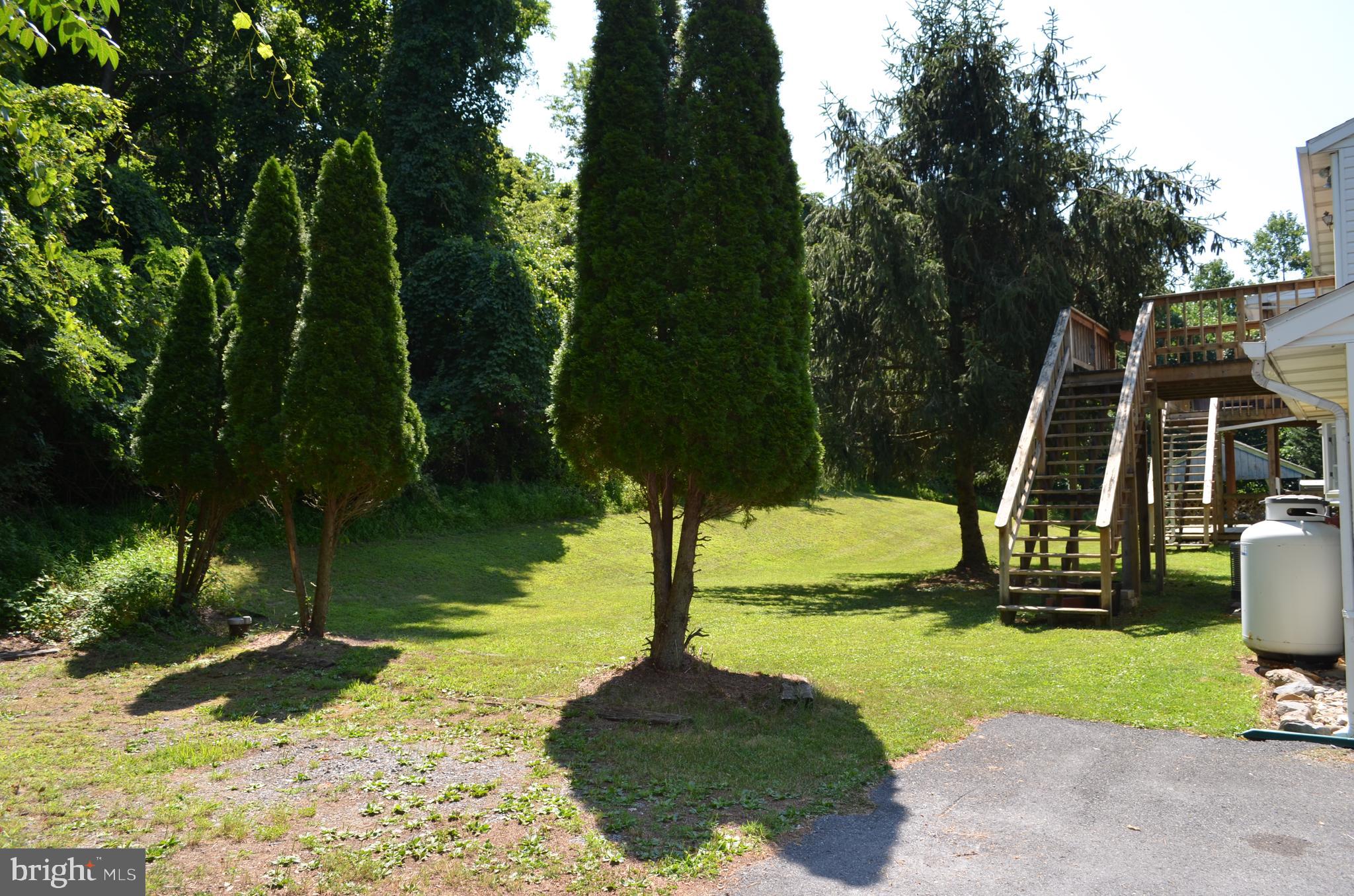 435 Big Spring Road New Cumberland, PA 17070 - Photo 63 of 79 Back yard