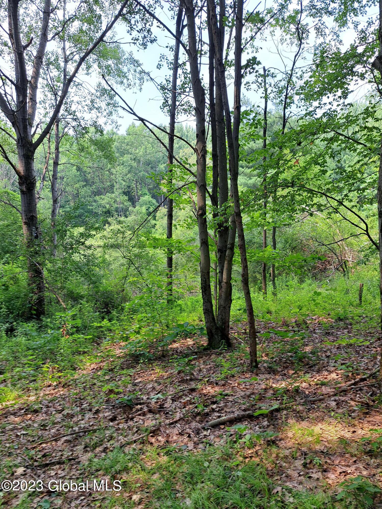 241 Eddy Road Hoosick, NY 12057 - Photo 34 of 48 20230717_143917