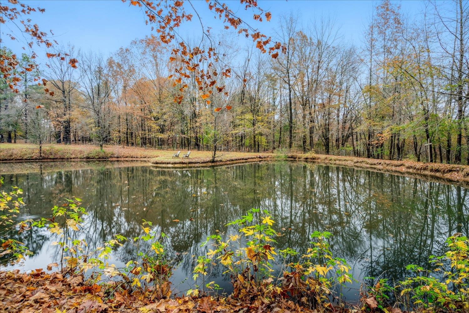 8379 Craven Road Bartlett, TN 38002 - Photo 37 of 40 a view of lake