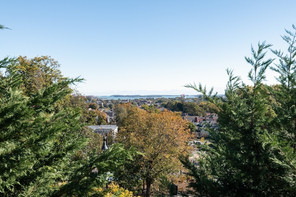 407 Washington Street, Unit 5 Boston, MA 02124 - Photo 24 of 24 a view of a lake from a yard