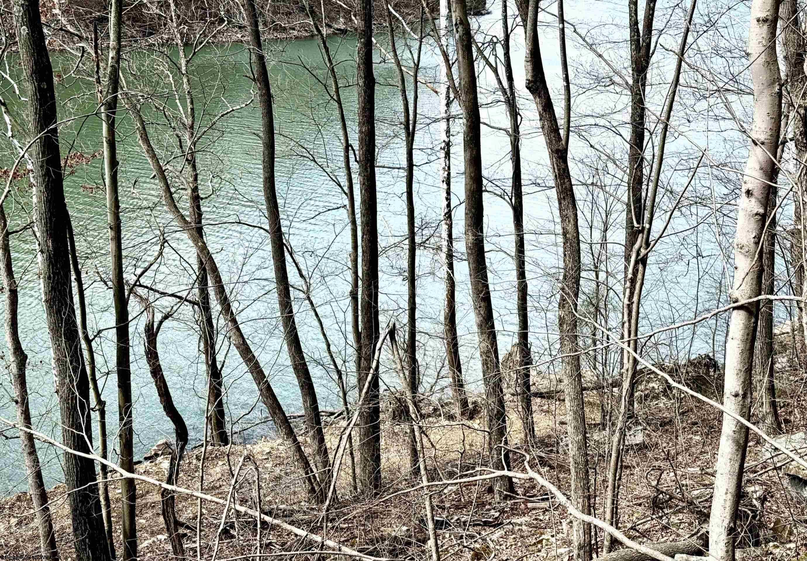 Lot 6 Brooklyn Road Parsons, WV 26287 - Photo 3 of 11 Gallery Image 3