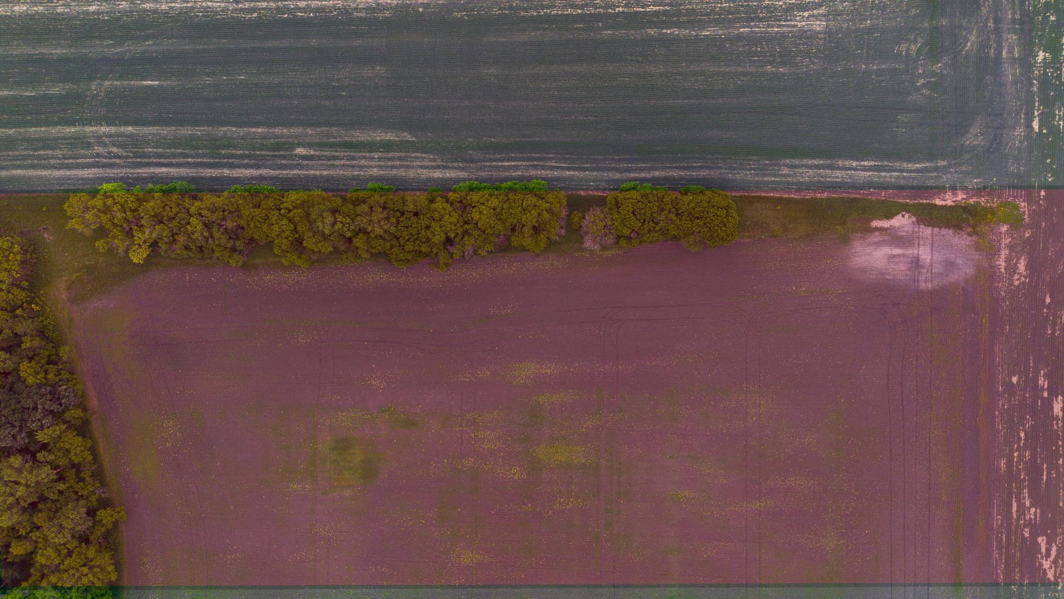 200 Hendrum Mn 56550 Hendrum, MN 56550 - Photo 5 of 10