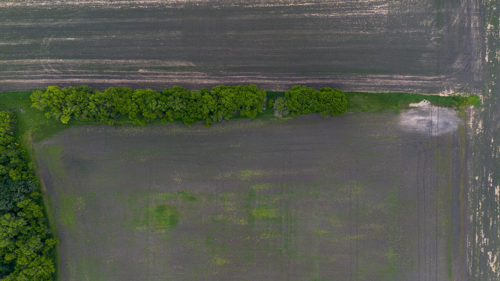 200 Hendrum Mn 56550 Hendrum, MN 56550 - Photo 6 of 10