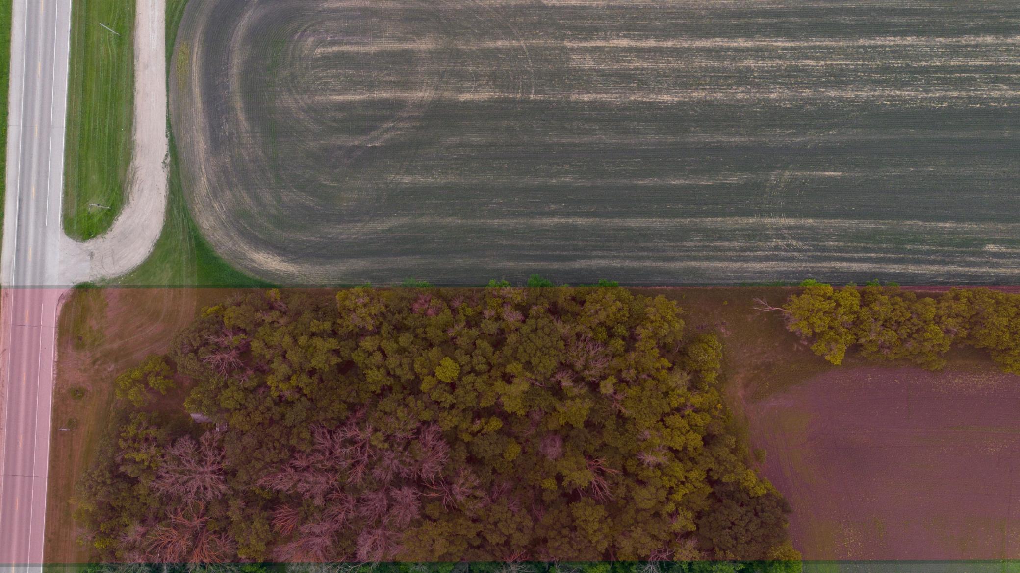 200 Hendrum Mn 56550 Hendrum, MN 56550 - Photo 9 of 10