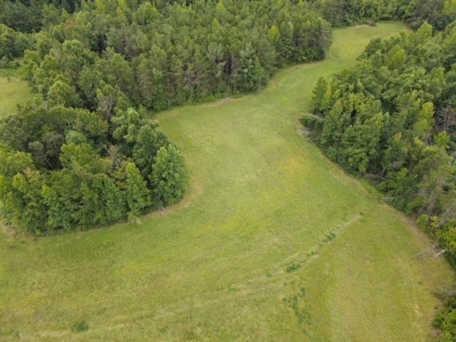 1079 Crymes Orchard Road Keysville, VA 23947 - Photo 16 of 23 Gallery Image 16
