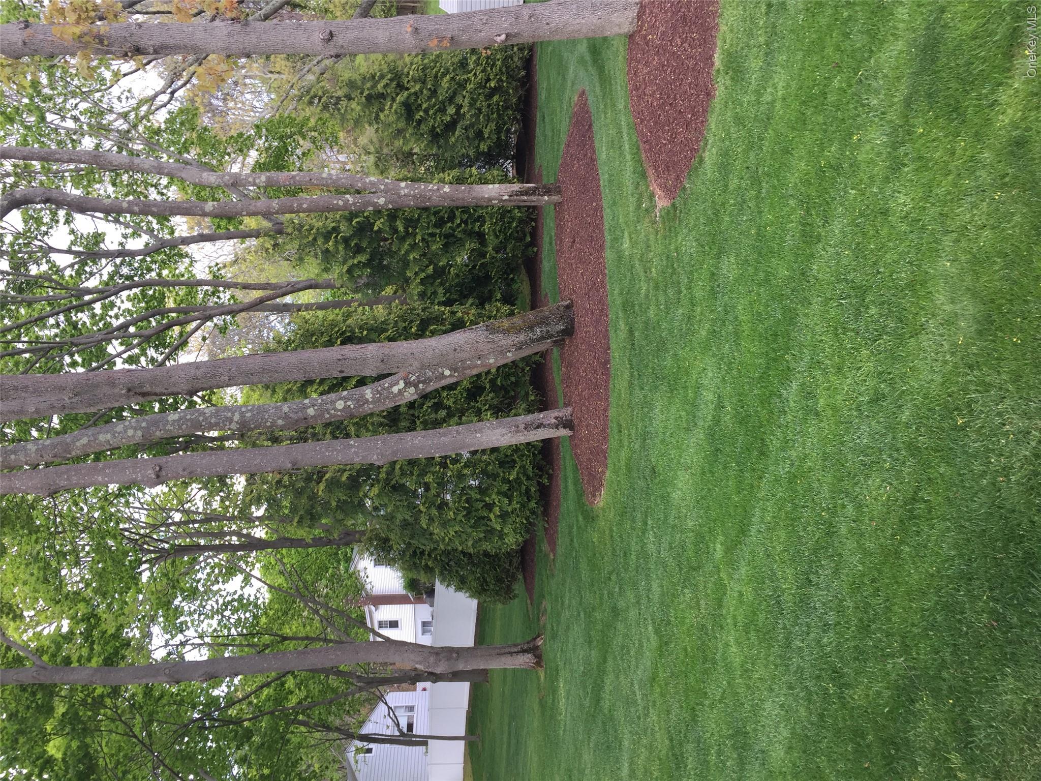 2 South Valley Road Hampton Bays, NY 11946 - Photo 13 of 19 a view of a field with a tree