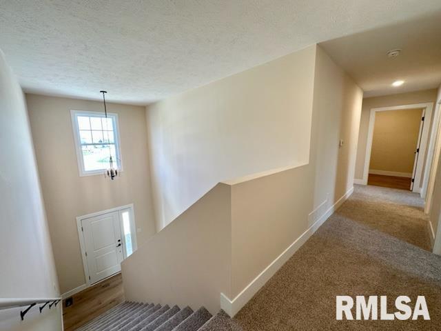 300 Waterwheel Drive Rochester, IL 62563 - Photo 11 of 28 Gallery Image 11