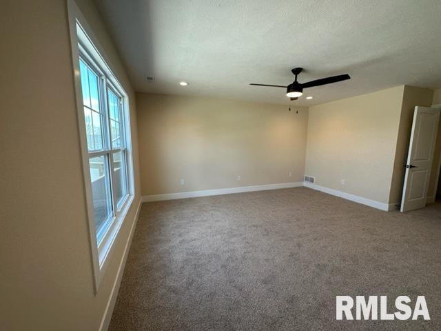300 Waterwheel Drive Rochester, IL 62563 - Photo 14 of 28 Gallery Image 14