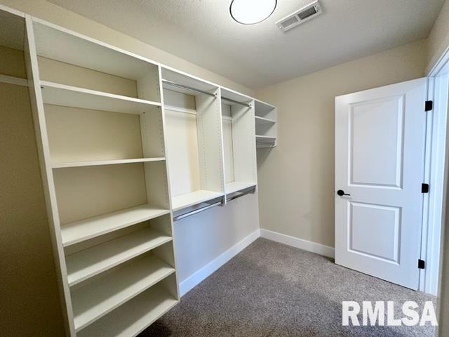 300 Waterwheel Drive Rochester, IL 62563 - Photo 18 of 28 Gallery Image 18