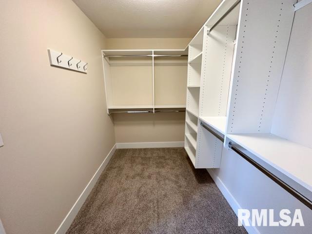 300 Waterwheel Drive Rochester, IL 62563 - Photo 19 of 28 Gallery Image 19
