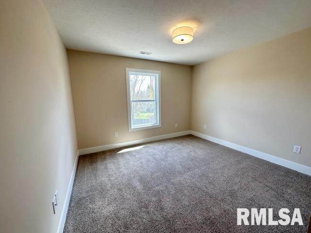 300 Waterwheel Drive Rochester, IL 62563 - Photo 20 of 28 Gallery Image 20