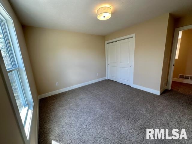 300 Waterwheel Drive Rochester, IL 62563 - Photo 21 of 28 Gallery Image 21