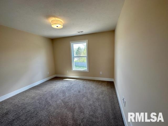 300 Waterwheel Drive Rochester, IL 62563 - Photo 23 of 28 Gallery Image 23