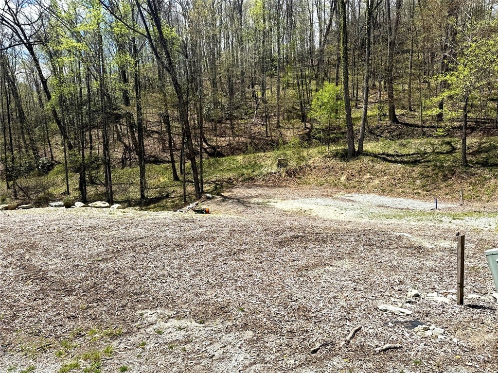 42 Ivy Road Newland, NC 28657 - Photo 2 of 11 a view of road and trees