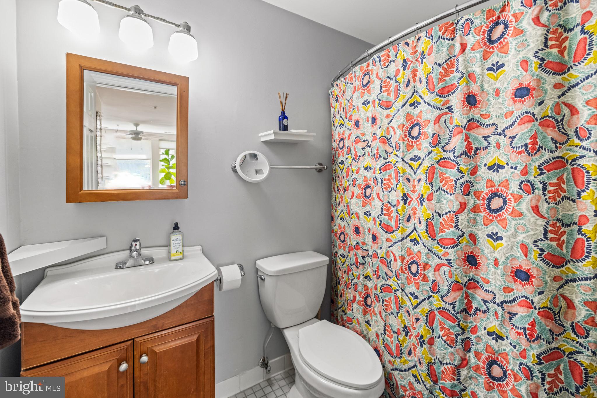 1210 Perry Street Northeast, Unit 201 Washington, DC 20017 - Photo 14 of 16 a bathroom with a sink and mirror with toilet