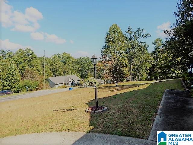 5300 Red Valley Road Remlap, AL 35133 - Photo 31 of 33