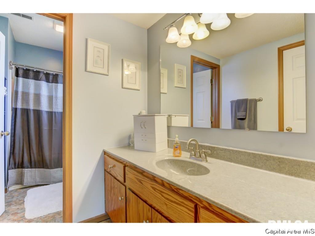 47 Shelly Drive Springfield, IL 62702 - Photo 18 of 32
