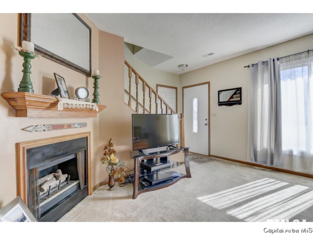 47 Shelly Drive Springfield, IL 62702 - Photo 3 of 32