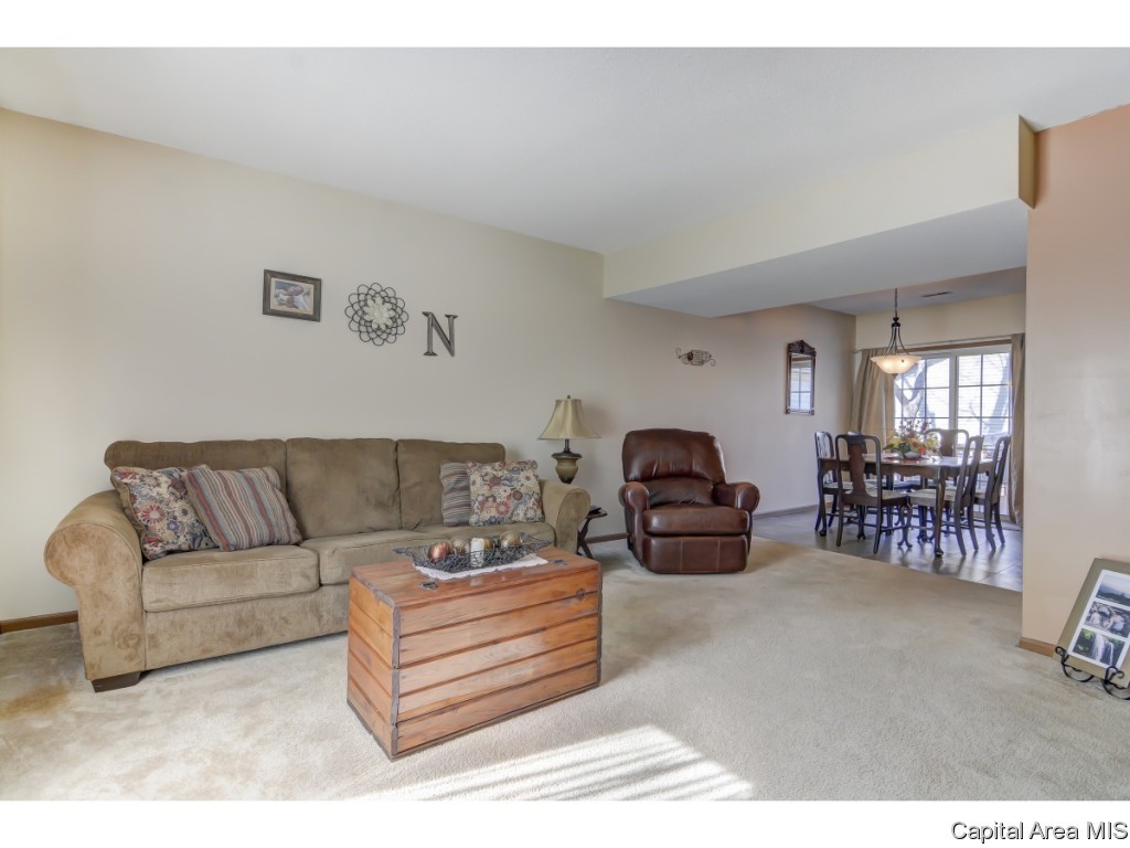 47 Shelly Drive Springfield, IL 62702 - Photo 6 of 32