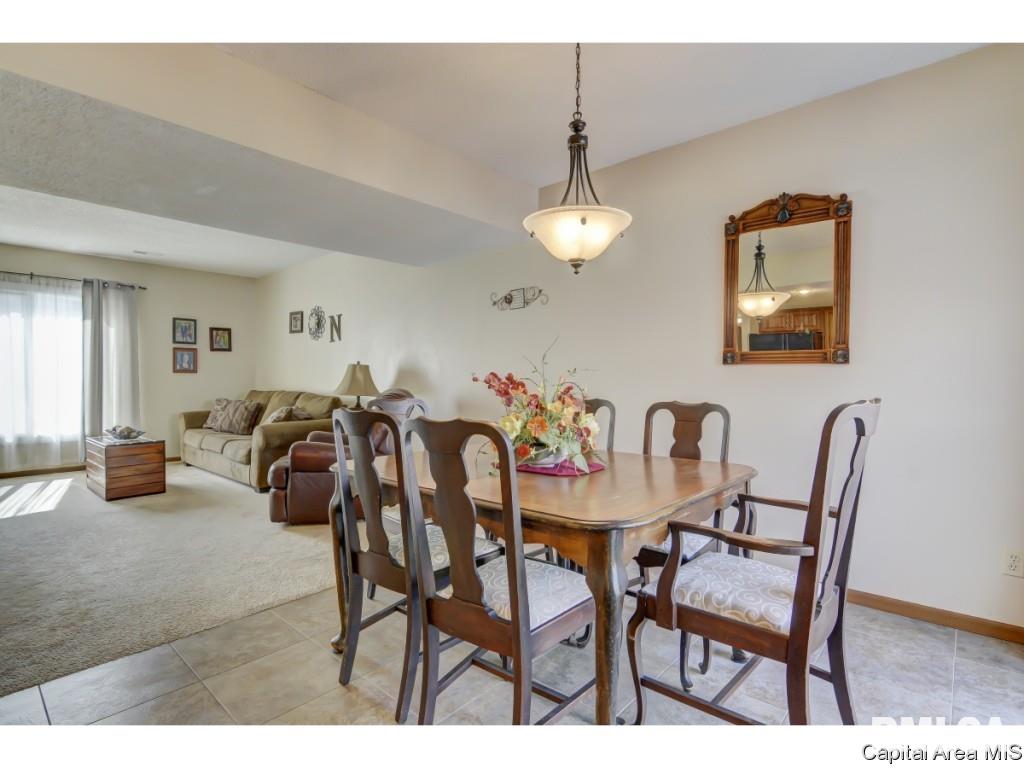 47 Shelly Drive Springfield, IL 62702 - Photo 7 of 32
