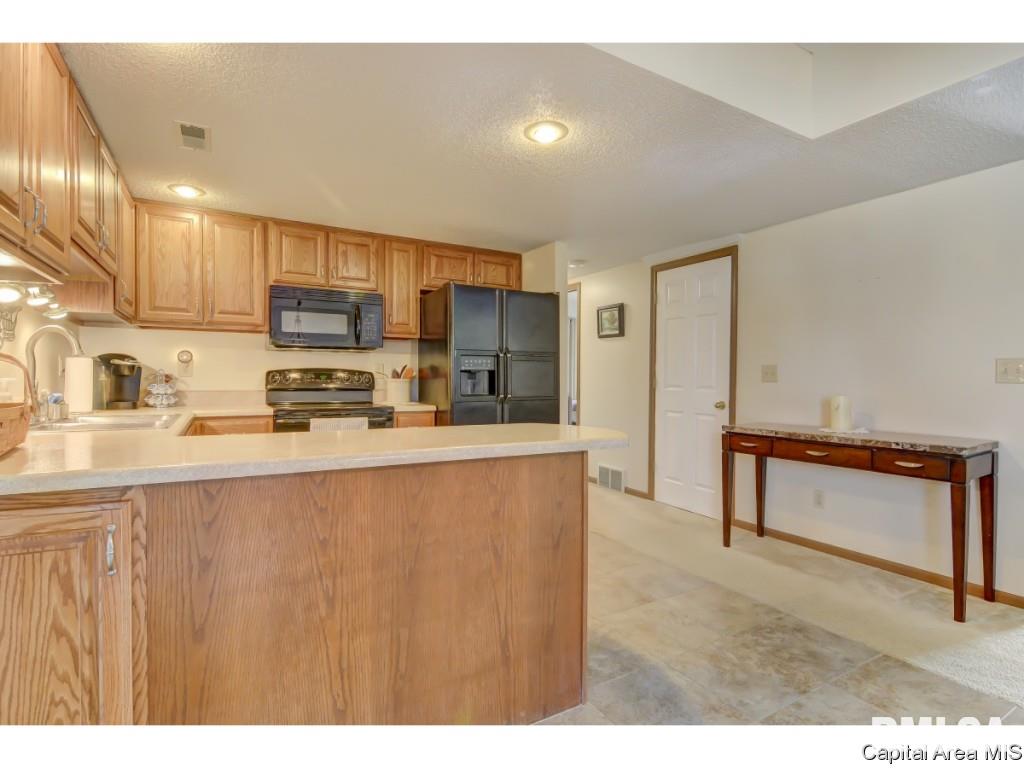 47 Shelly Drive Springfield, IL 62702 - Photo 8 of 32