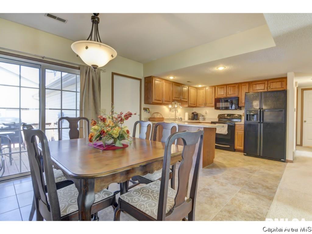47 Shelly Drive Springfield, IL 62702 - Photo 9 of 32
