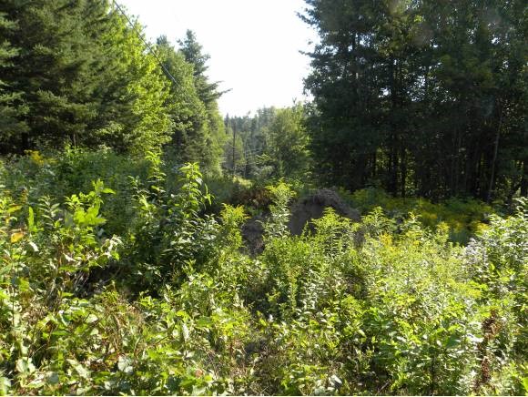 195 Pepin Road Brownington, VT 05860 - Photo 1 of 1