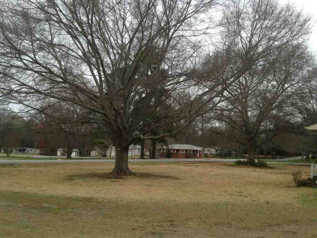 2301 Gentry Road Starr, SC 29684 - Photo 5 of 11