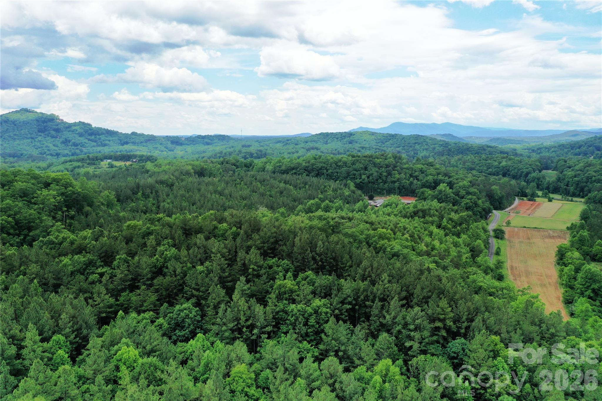 0 Herman Wilson Road Lake Lure, NC 28746 - Photo 9 of 22