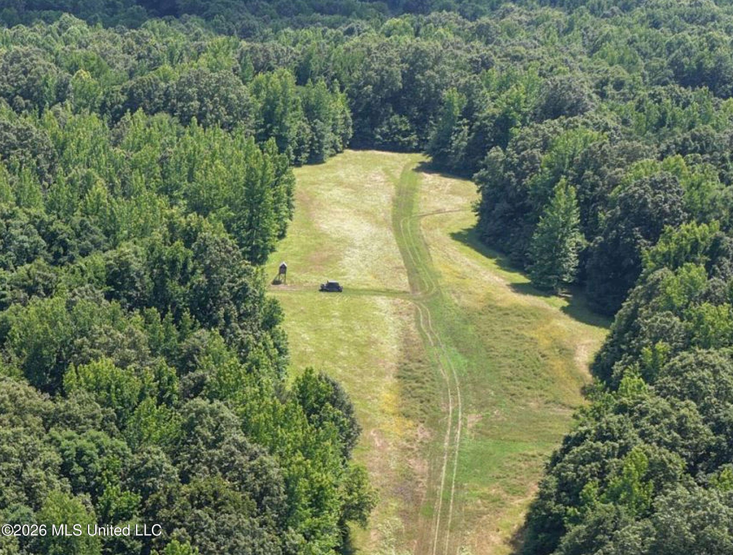 884 Avant Road Crenshaw, MS 38621 - Photo 50 of 154 4dbyicr51b