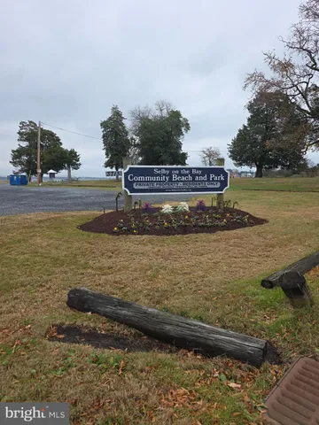 a view of swimming pool with trees in the background