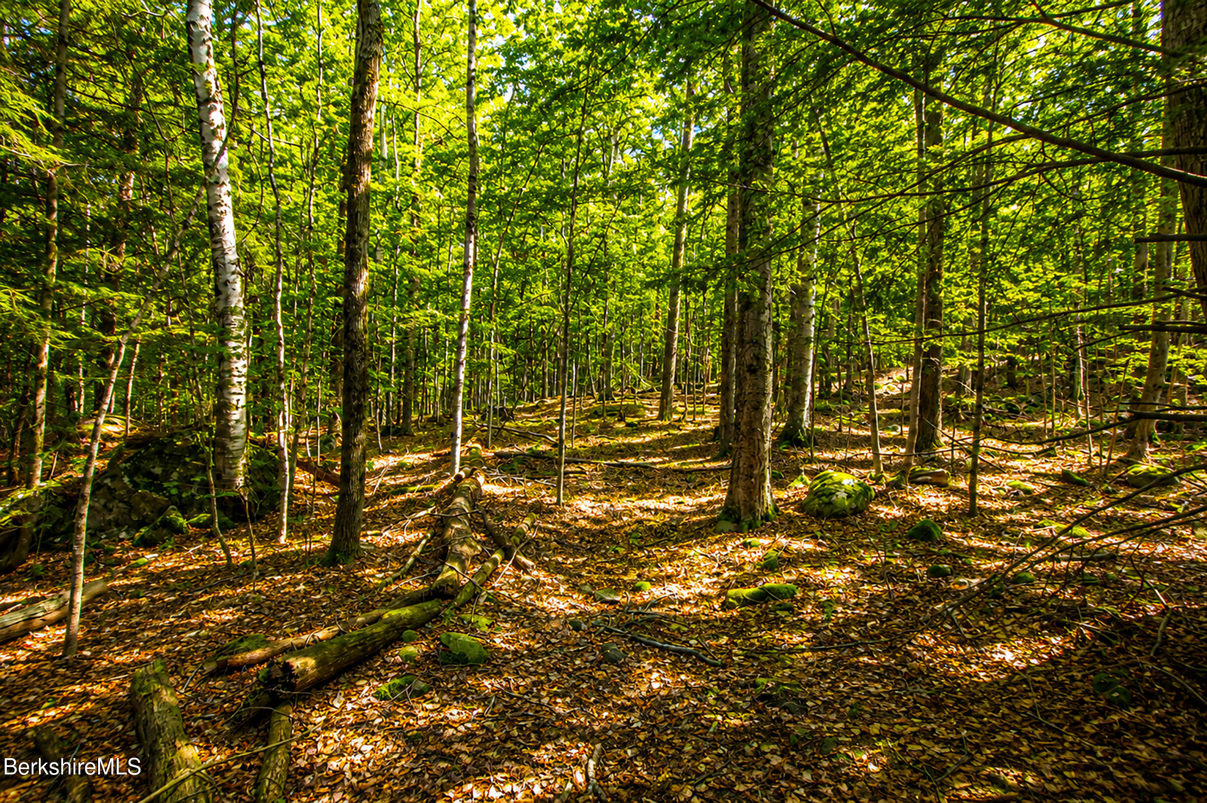 Hill Road Hinsdale, MA 01235 - Photo 6 of 14 Property