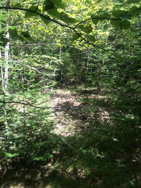 0 Willey District Road Cherryfield, ME 04622 - Photo 3 of 3 IMG_4583